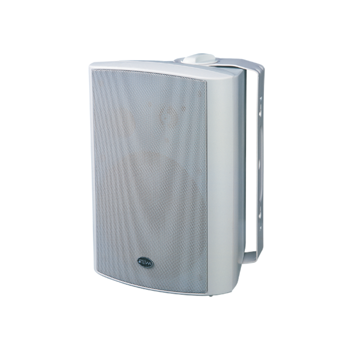 CW613 Wall Mount Speaker